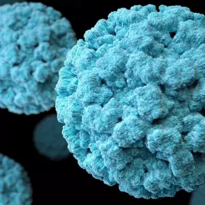 Several new coronaviruses discovered in China!