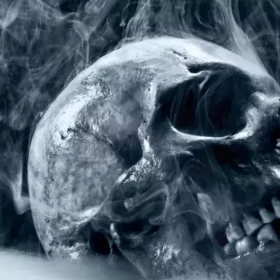 skull