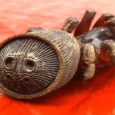 Spider