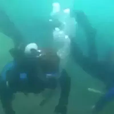 A strange creature was found in the depths of the ocean, off the coast of Mexico.