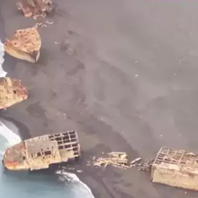 Sunken World War II ships revealed by volcanic activity in Japan