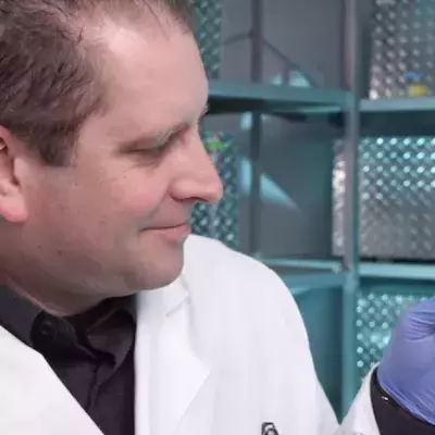  Teaching Birds New Songs