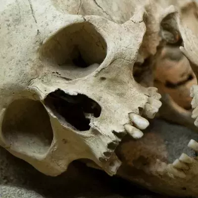 This Terrifying Secret About Our Ancestors Has Researchers Shook