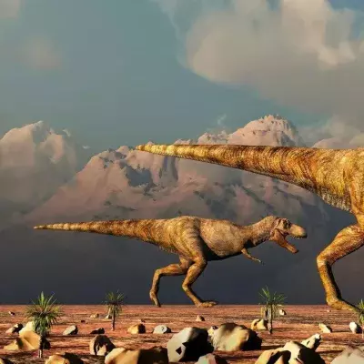 There were so many more T.Rexes on Earth than we thought