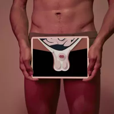 These are the surprising similarities between your testicles and your brain