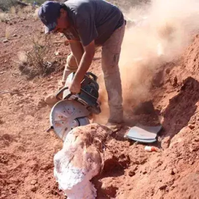 These herbivores lived over 200 million years ago.