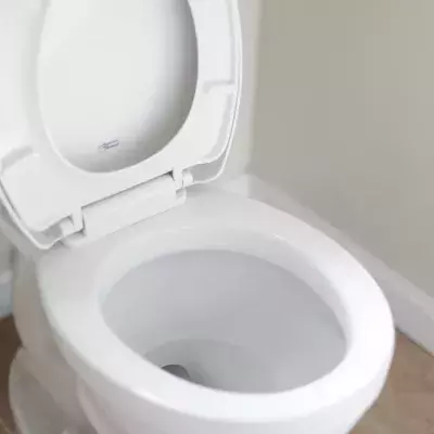 Toilet bowl