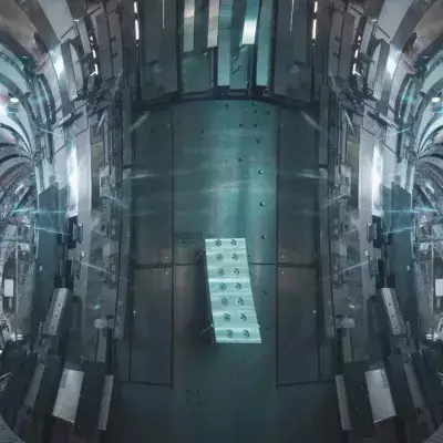 Tokamak