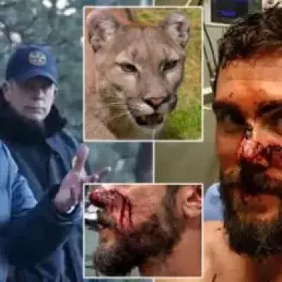 Travis Kauffman's jiu-jitsu skills saved him from a cougar attack.
