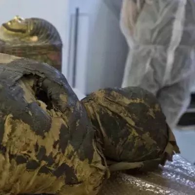 Unique pregnant mummy of a identified by X-ray