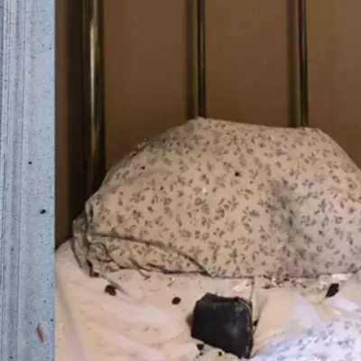 Woman awakes to meteor crashing into her bedroom