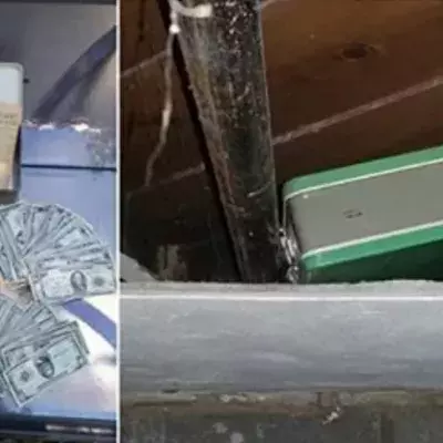 23,000 dollars found in cellar