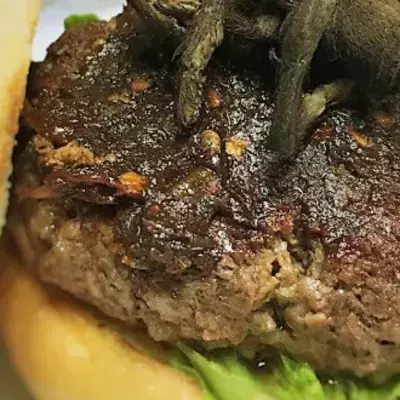 America's first tarantula burger