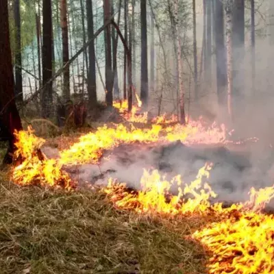 Arctic On Fire 