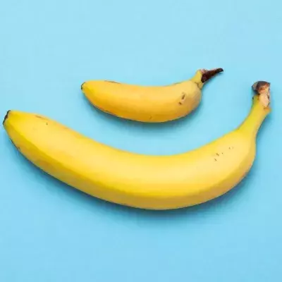 Are you a grower or a shower? This study explains the difference