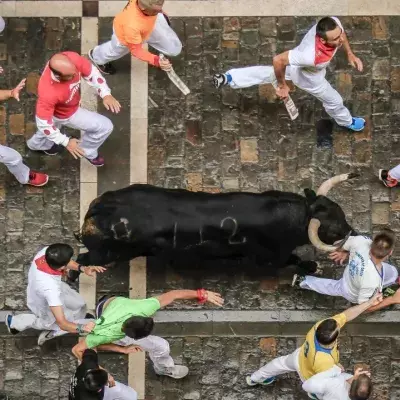Bull running in Spain 
