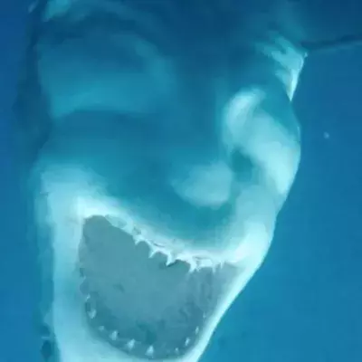 Calypso Star Charters Centre