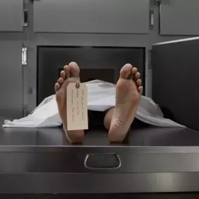 Coming Back From the Dead Is Not As Uncommon as You Might Think
