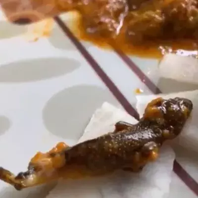 Couple disgusted to find dead lizard in takeaway curry