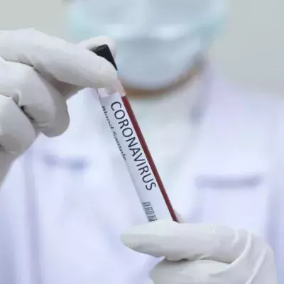 COVID-19 Infections May Provide ‘Months of Immunity’