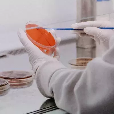 COVID variant under investigation