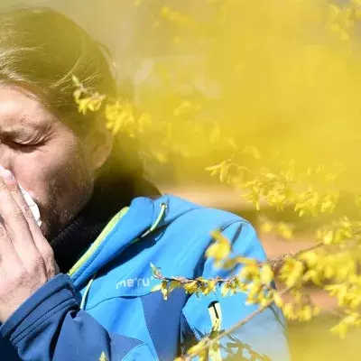 Cross-reactivity allergies: This little-known phenomenon may affect you