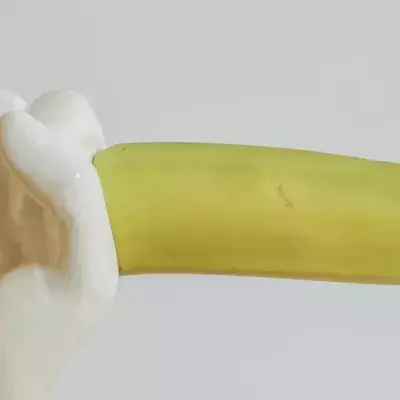 Default image