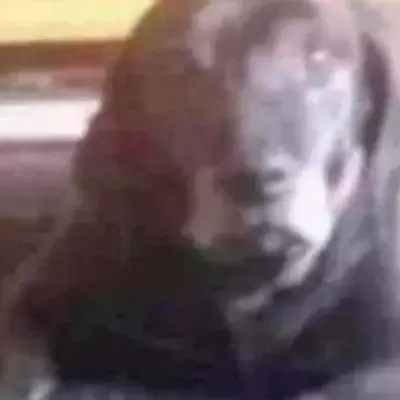 Default image