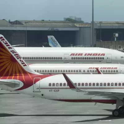 Delhi-London flight delayed after ants were found in business class