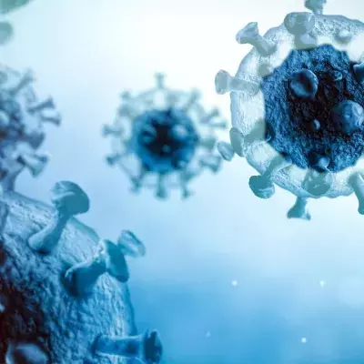 ‘Delta Plus’ now under investigation after concerns it could be more transmissible