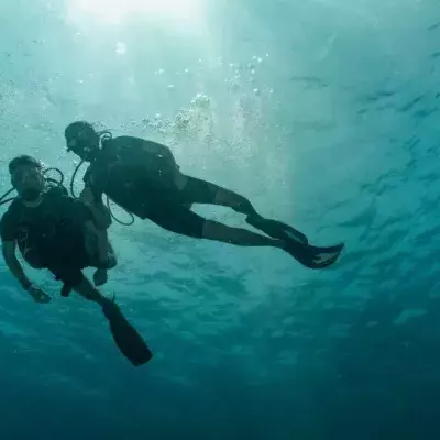 Divers