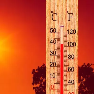 Dozens of death from killer heat wave in Canada and the USA