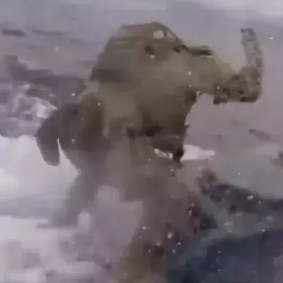 Drug Trafficking: The incredible drug bust the coastguard made on a submarine (VIDEO)