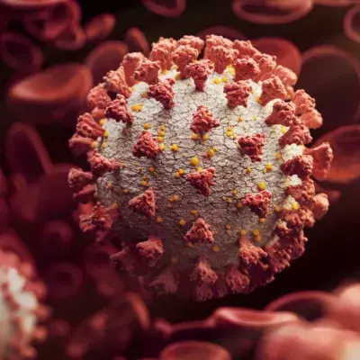 Dual Infection: Patients Could Catch Two Strains of COVID at Once