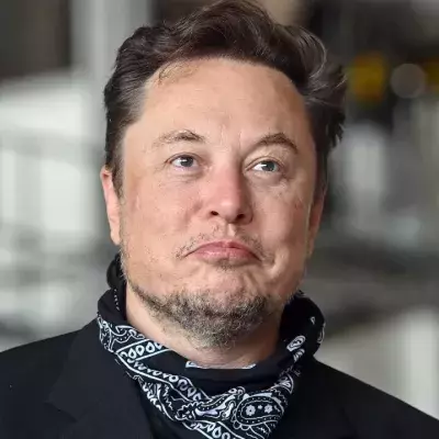 Elon Musk predicts end of the world and says 'meteorite will hit us'