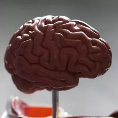 How to manipulate your brain to lose weight