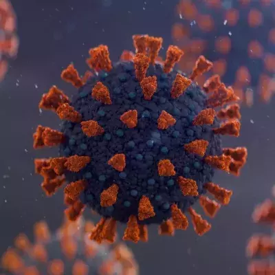 India Reports Cases of New ‘Delta Plus’ COVID Variant
