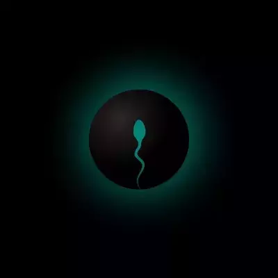Male Contraceptive