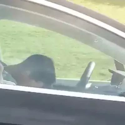 Man falls asleep at the wheel of his Tesla on the highway