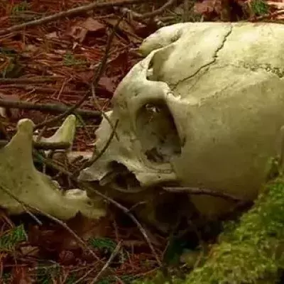 Man Finds Corpse In Garden