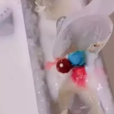 McDonald’s worker reveals the inside of the McFlurry machine leaving viewers nauseous