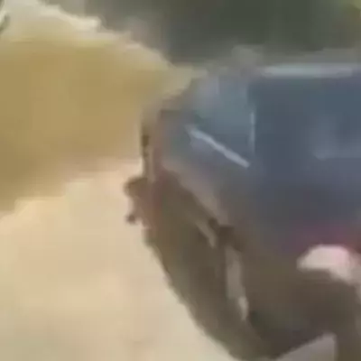 Mercedes Gets Painted in Poop After Illegally Parking on Farmers Land