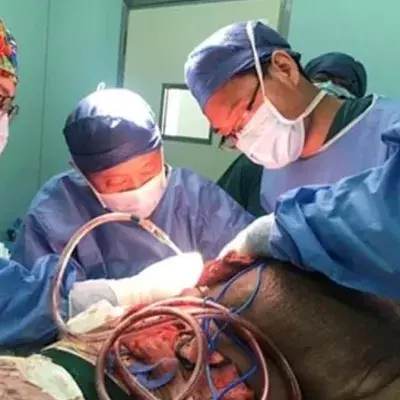 Mr Tangs Surgery