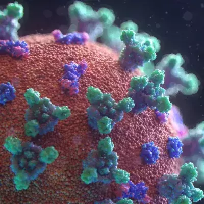 Nearly a quarter of registered COVID deaths are not caused by the virus 