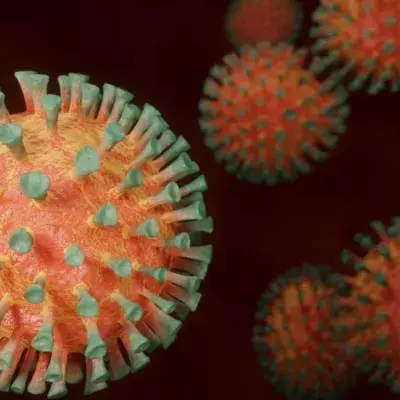 The newest South African COVID-19 strain is worrying experts