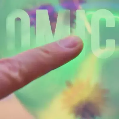 Omicron variant