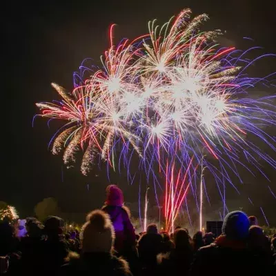 One couple was caught having a fireworks display of their own on a live New Year's Eve TV broadcast