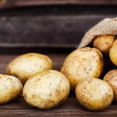 Potatoes can be carcinogenic if they look like this!