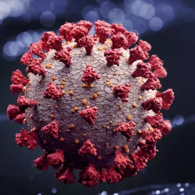 Recent Study Reveals How ‘Long COVID’ Could Be Predicted