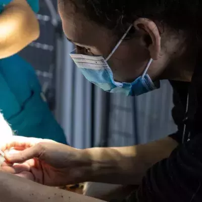 Russia Begins COVID Vaccine Rollout For Animals